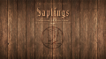 Skymember Presents Saplings by Yu Huihang